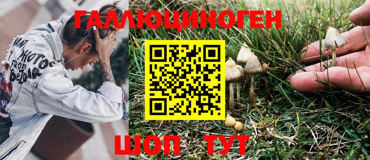 Галлюциногенные грибы GOLDEN TEACHER  Вход с VPN  Жуковский 