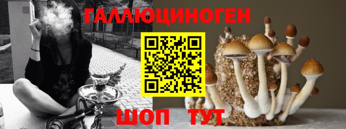Галлюциногенные грибы Psilocybe Жуковский